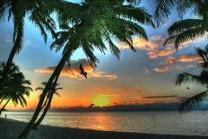 Key West Sunrise One Palm-Robert Goldwitz-Photographic Print
