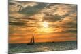Photographic Print