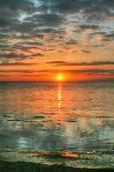 Key West Sunrise One Palm-Robert Goldwitz-Photographic Print