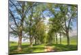 Photographic Print