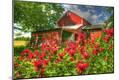 Photographic Print
