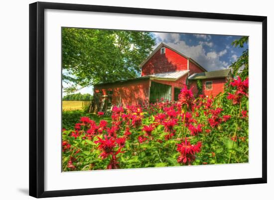 Photographic Print, , large