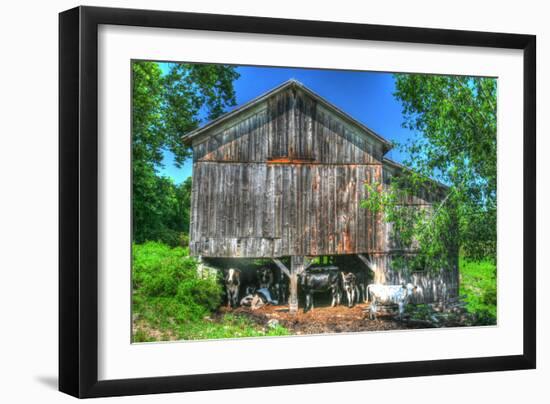 Photographic Print, , large