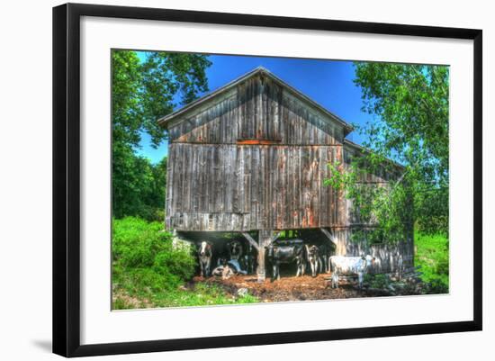 Photographic Print, , large