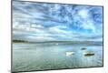 Photographic Print