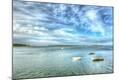 Photographic Print