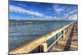 Photographic Print