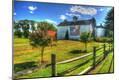 Photographic Print