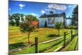Photographic Print