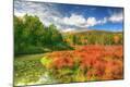 Photographic Print