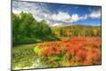 Photographic Print