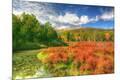 Photographic Print