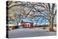 Stretched Canvas Print