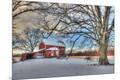 Premium Photographic Print