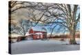Stretched Canvas Print