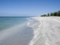 Beach Covered in Shells, Captiva Island, Gulf Coast, Florida, United States of America-Robert Harding-Photographic Print