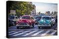 Stretched Canvas Print