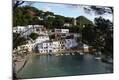 Photographic Print