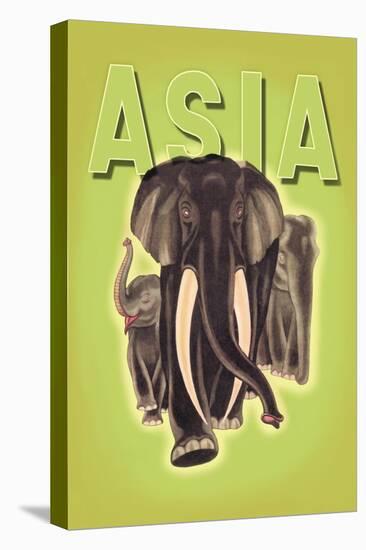Stretched Canvas Print, , large
