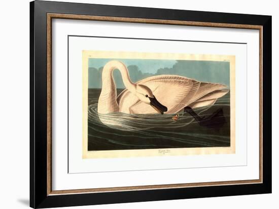 Robert Havell after John James Audubon-null-Framed Giclee Print