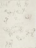 Flock of Sheep, after 1794-Robert Hills-Giclee Print
