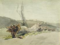 The Fallen Tree, C.1804-Robert Hills-Giclee Print