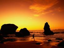 Pacific Coast Rain Forest at Dusk, Costa Rica-Robert Houser-Photographic Print