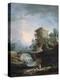 Stretched Canvas Print