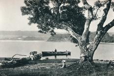 'Church Island, Lough Gill, Sligo', c1908-Robert John Welch-Photographic Print