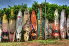 Surfboards-Robert Kaler-Photographic Print