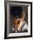 Robert Kennedy Portrait-Bill Eppridge-Framed Photographic Print