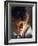 Robert Kennedy Portrait-Bill Eppridge-Framed Photographic Print