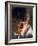 Robert Kennedy Portrait-Bill Eppridge-Framed Photographic Print