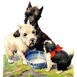 "Cat Guards Bowl of Milk,"February 27, 1926-Robert L. Dickey-Framed Giclee Print