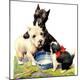 Premium Giclee Print