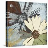 Floral Scents I-Robert Lacie-Stretched Canvas