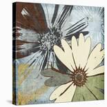 Floral Scents II-Robert Lacie-Stretched Canvas