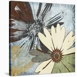 Floral Scents II-Robert Lacie-Stretched Canvas