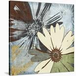 Floral Scents II-Robert Lacie-Stretched Canvas