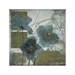 Floral Scents I-Robert Lacie-Framed Art Print