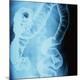 Premium Photographic Print