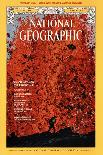 Cover of the March, 1975 National Geographic Magazine-Robert Madden-Photographic Print