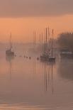 Sunrise at River Frome, Dorset-Robert Maynard-Photographic Print