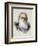 Robert Moffat, British missionary, 19th century-Unknown-Framed Giclee Print