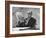 Robert Moses, Nyc Planner and Builder of Highways, Reading Document in His Office-Alfred Eisenstaedt-Framed Photographic Print