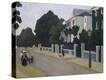 Stretched Canvas Print