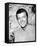 Robert Reed - The Brady Bunch-null-Framed Stretched Canvas