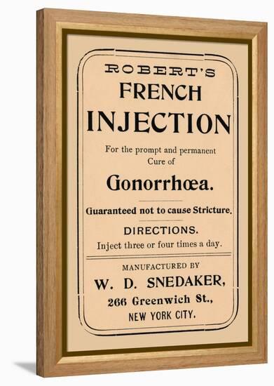 Robert's French Injection-null-Framed Stretched Canvas