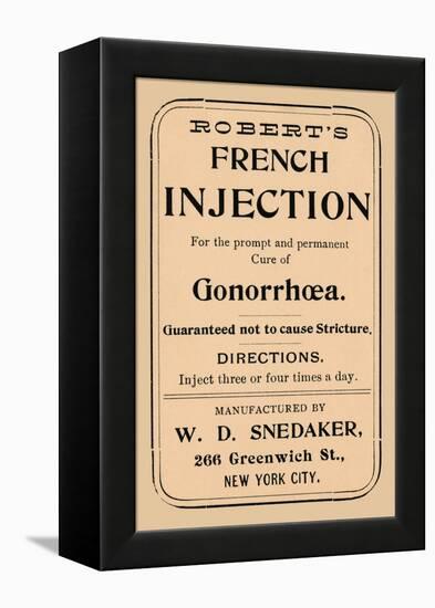 Robert's French Injection-null-Framed Stretched Canvas