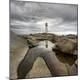 Premium Photographic Print